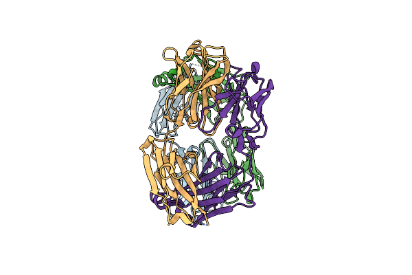 5CIP image