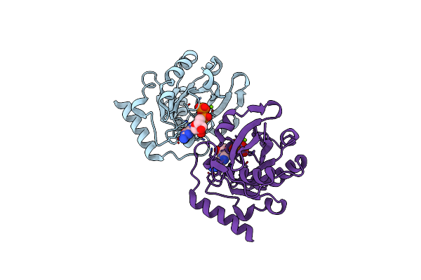 5CIQ image