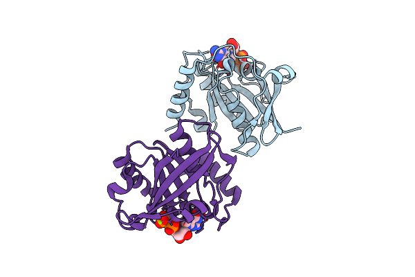 5CIT image