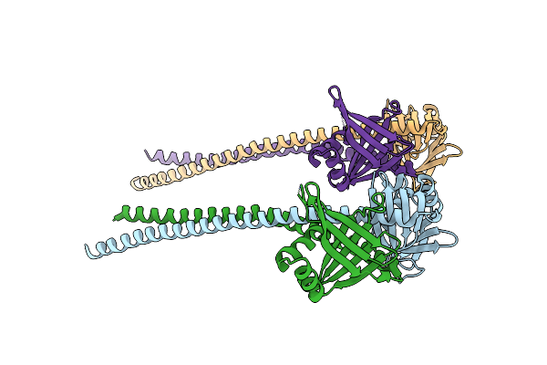 5CJ4 image