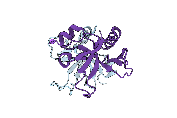 5CKD image