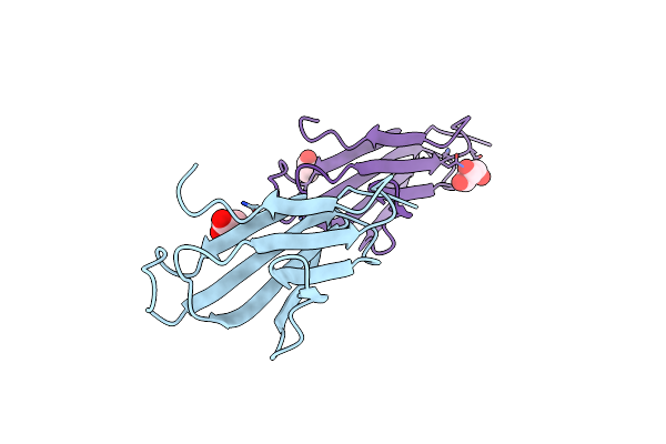 5CKG image