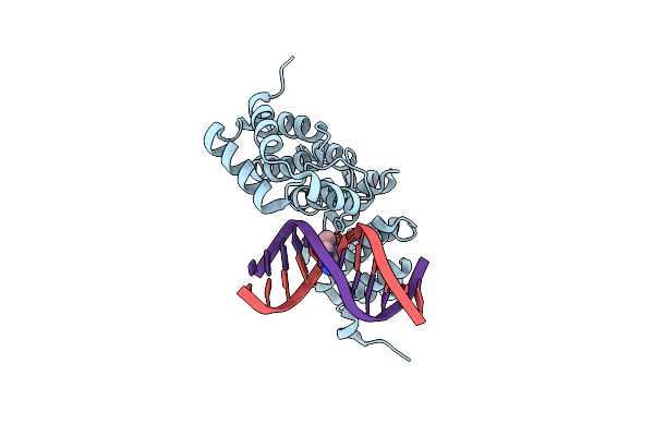 5CLE image