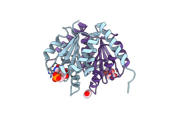 5CLJ image