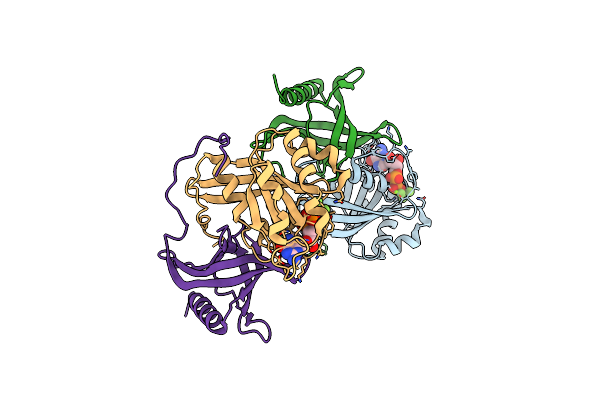 5CLL image