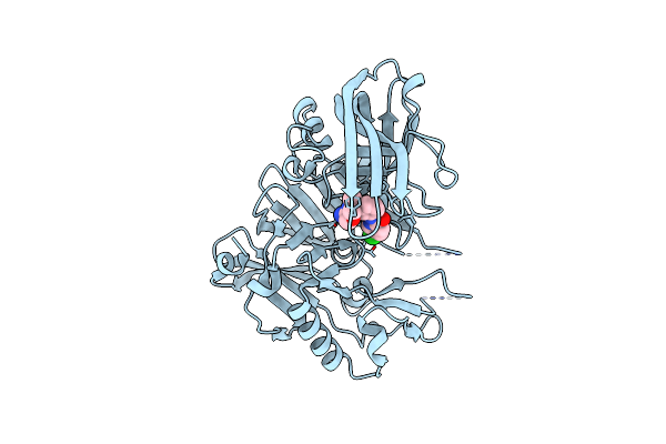 5CLM image