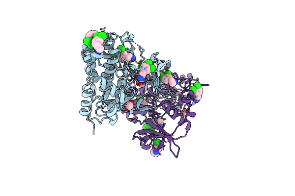 5CLP image