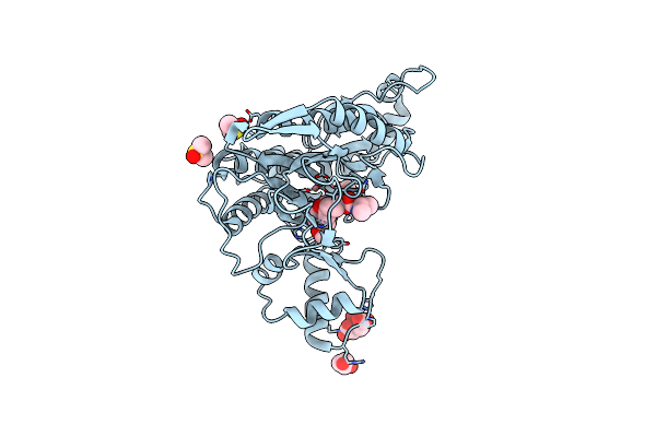 5CLS image