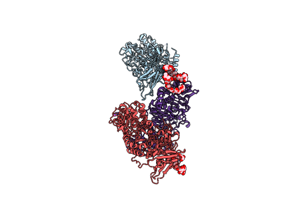 5CLW image