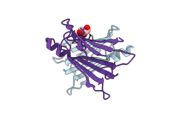 5CLX image