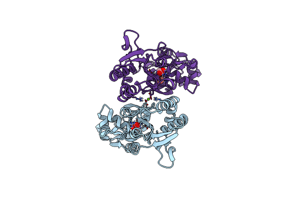 5CMB image