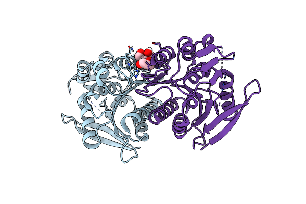 5CML image