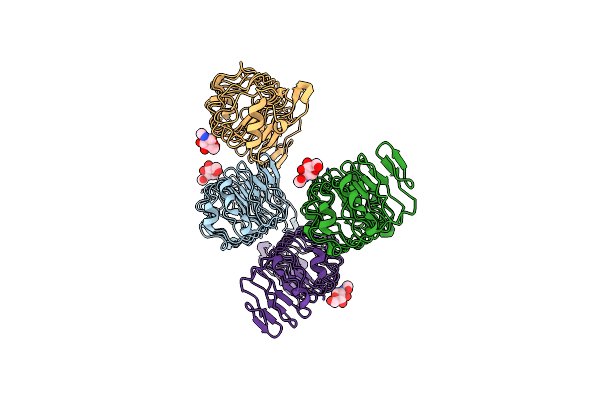 5CMP image