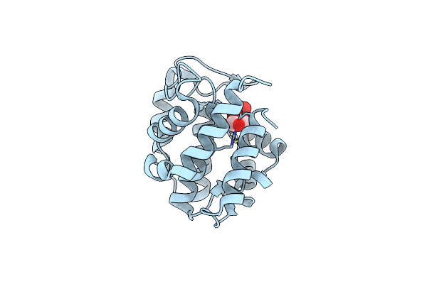 5CMT image