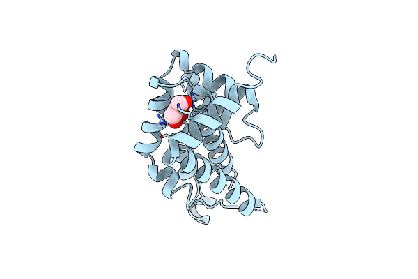 5CMW image