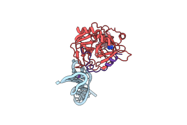 5CMX image