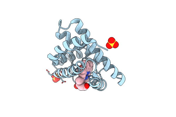 5CN5 image