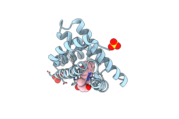 5CNE image