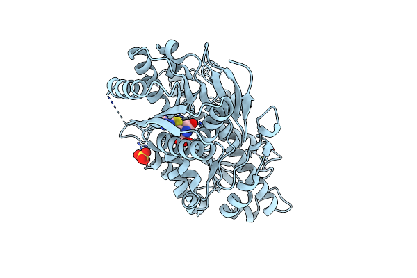 5CNM image