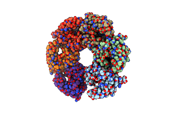 5CNP image