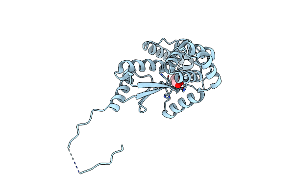 5CO3 image