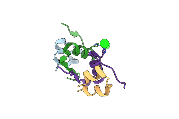 5CO6 image