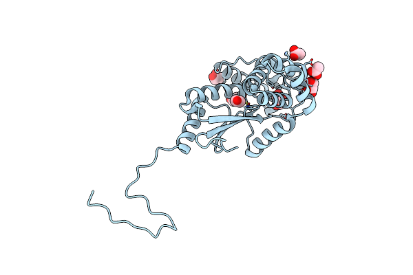 5CP1 image