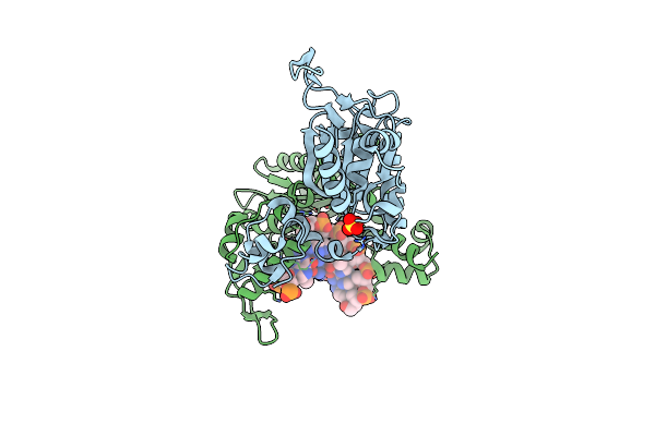 5CP2 image