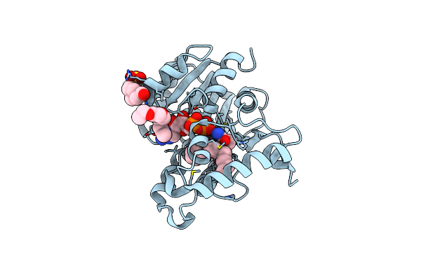 5CP8 image