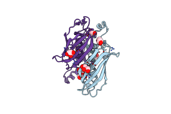 5CPG image