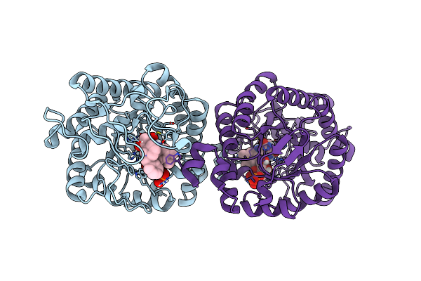 5CPN image