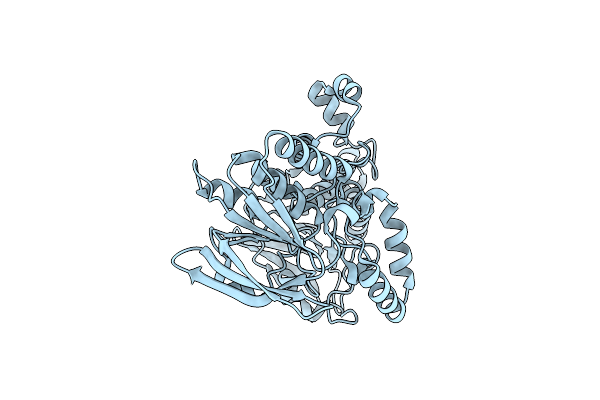 5CQF image