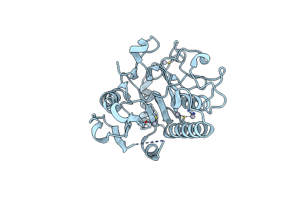 5CQP image