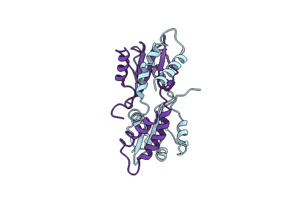 5CRC image