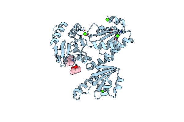 5CRD image