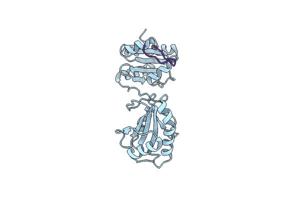 5CRW image