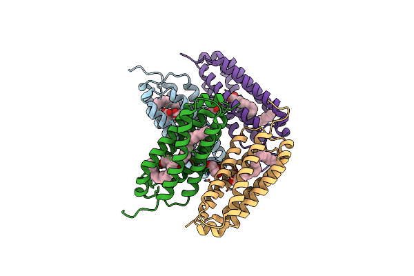 5CSD image