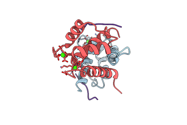 5CSF image
