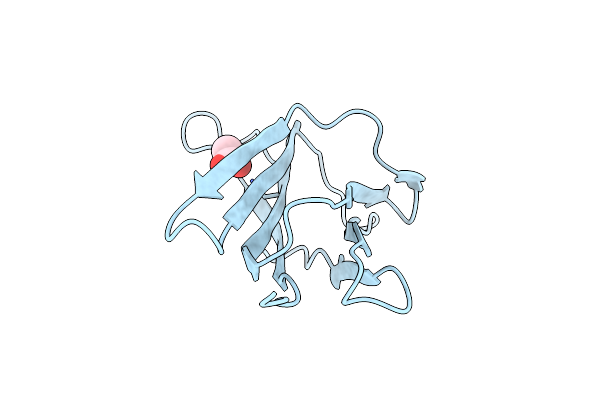 5CSG image