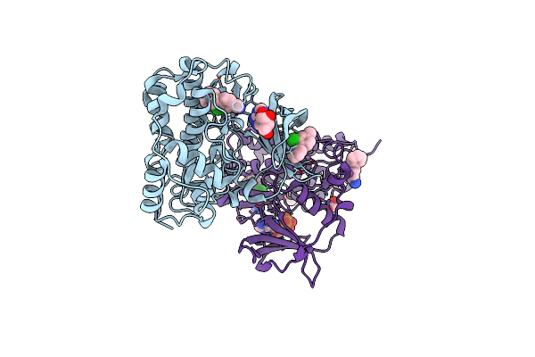 5CSH image