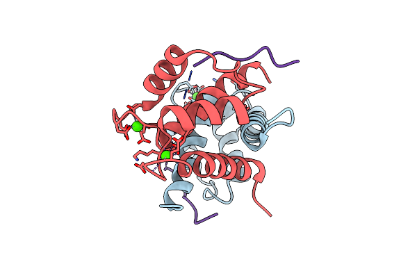 5CSI image