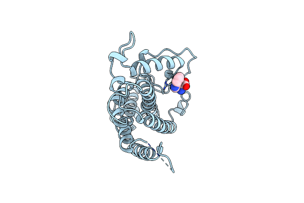 5CSM image