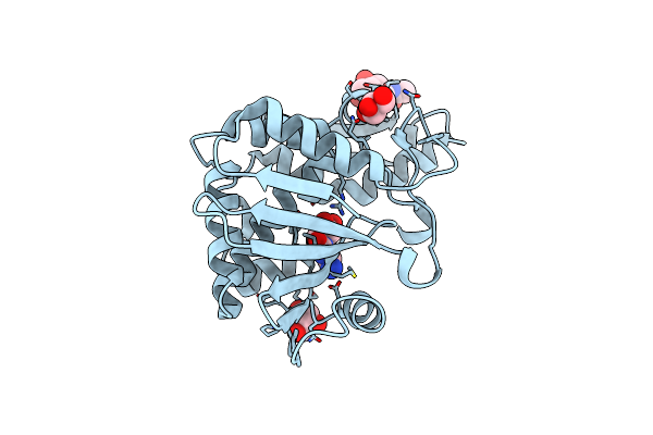 5CSO image