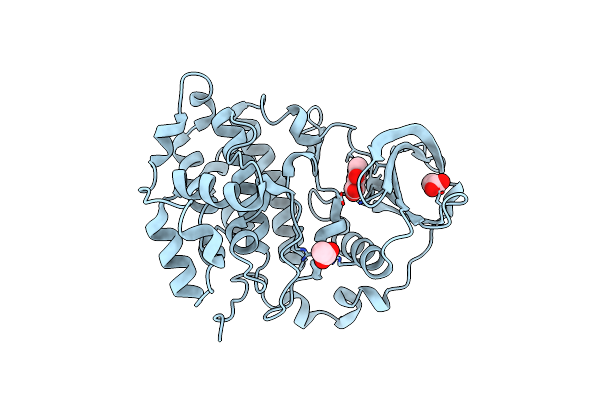 5CSP image