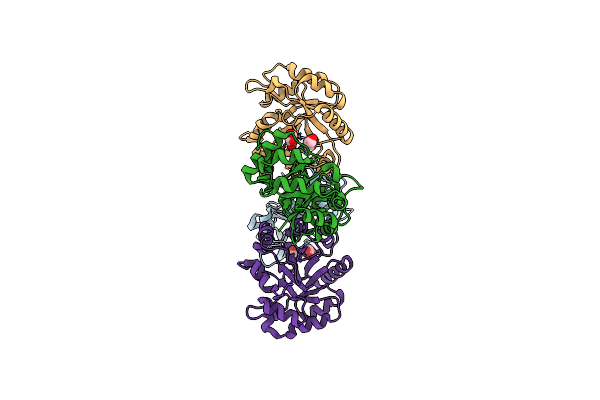 5CSR image