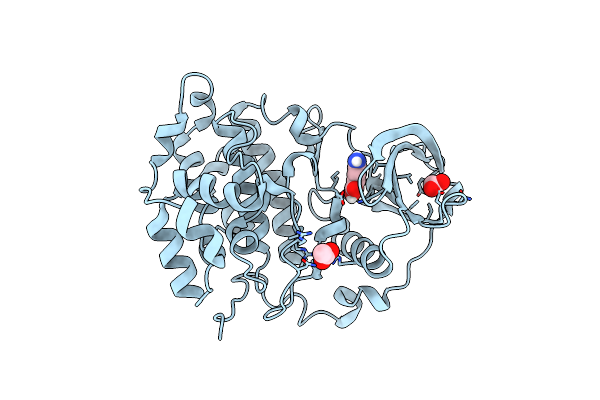 5CSV image