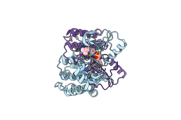 5CSW image