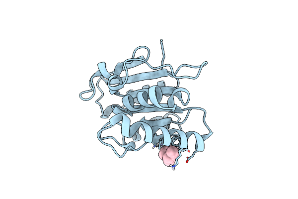 5CTA image