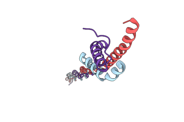 5CTD image