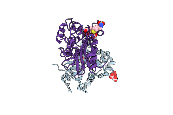 5CTN image